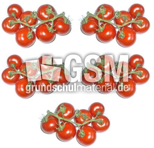 Tomaten-5x7.jpg